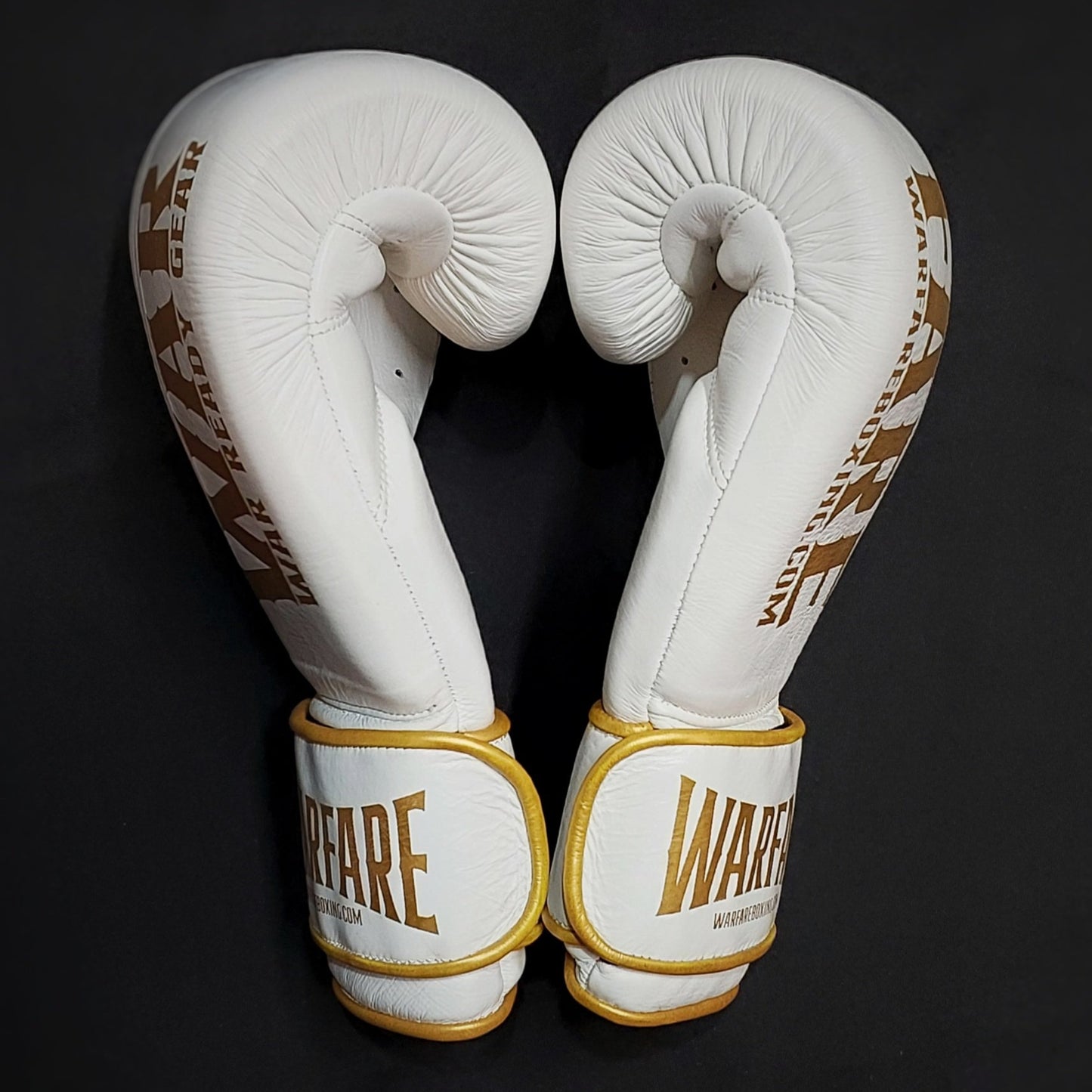 Warfare Boxing Glove