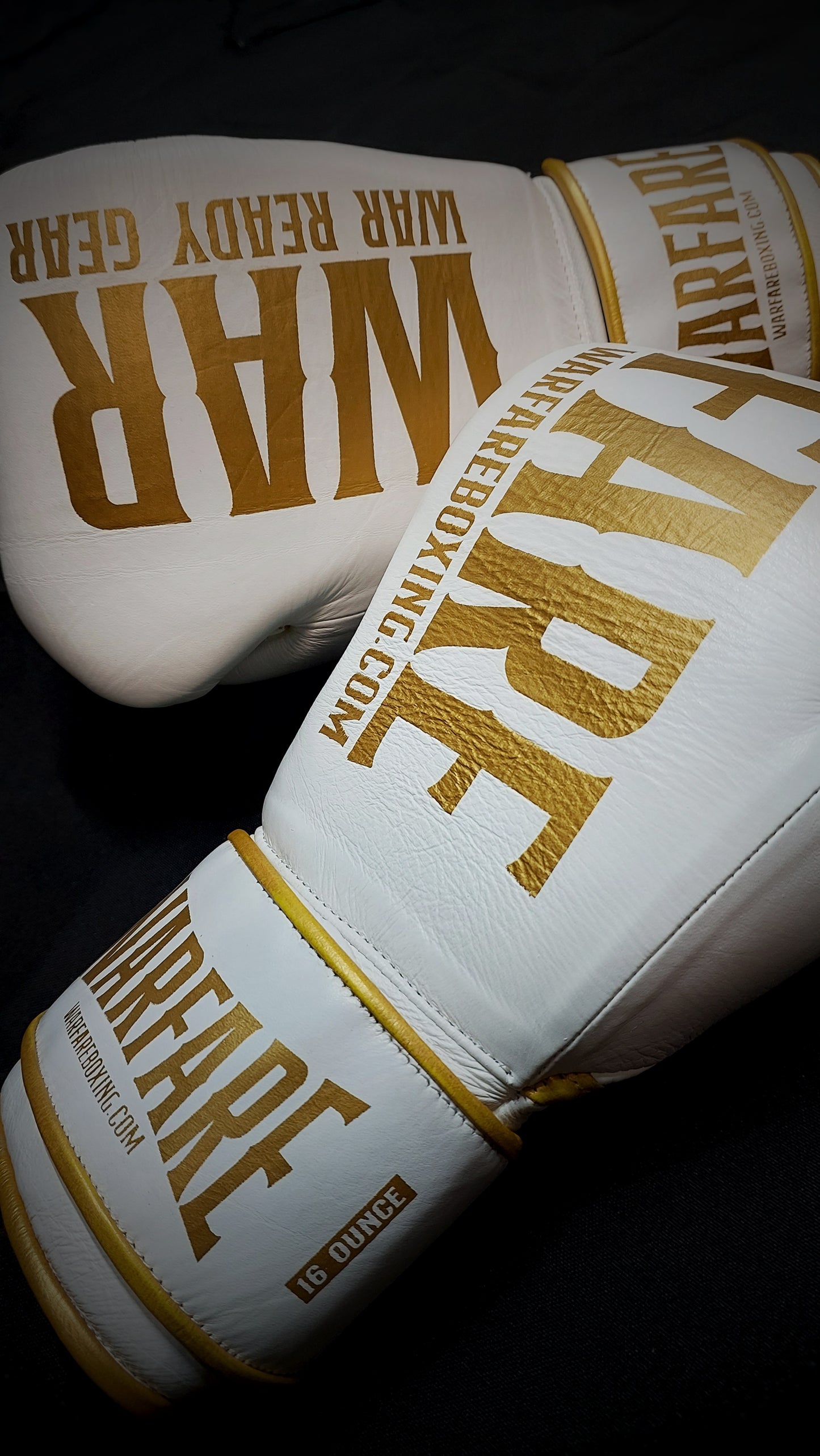 Warfare Boxing Glove