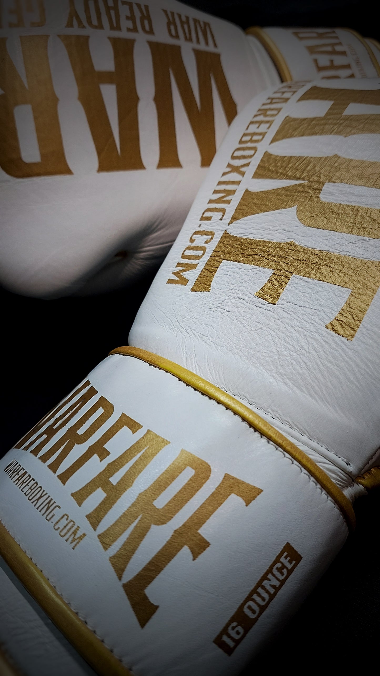 Warfare Boxing Glove