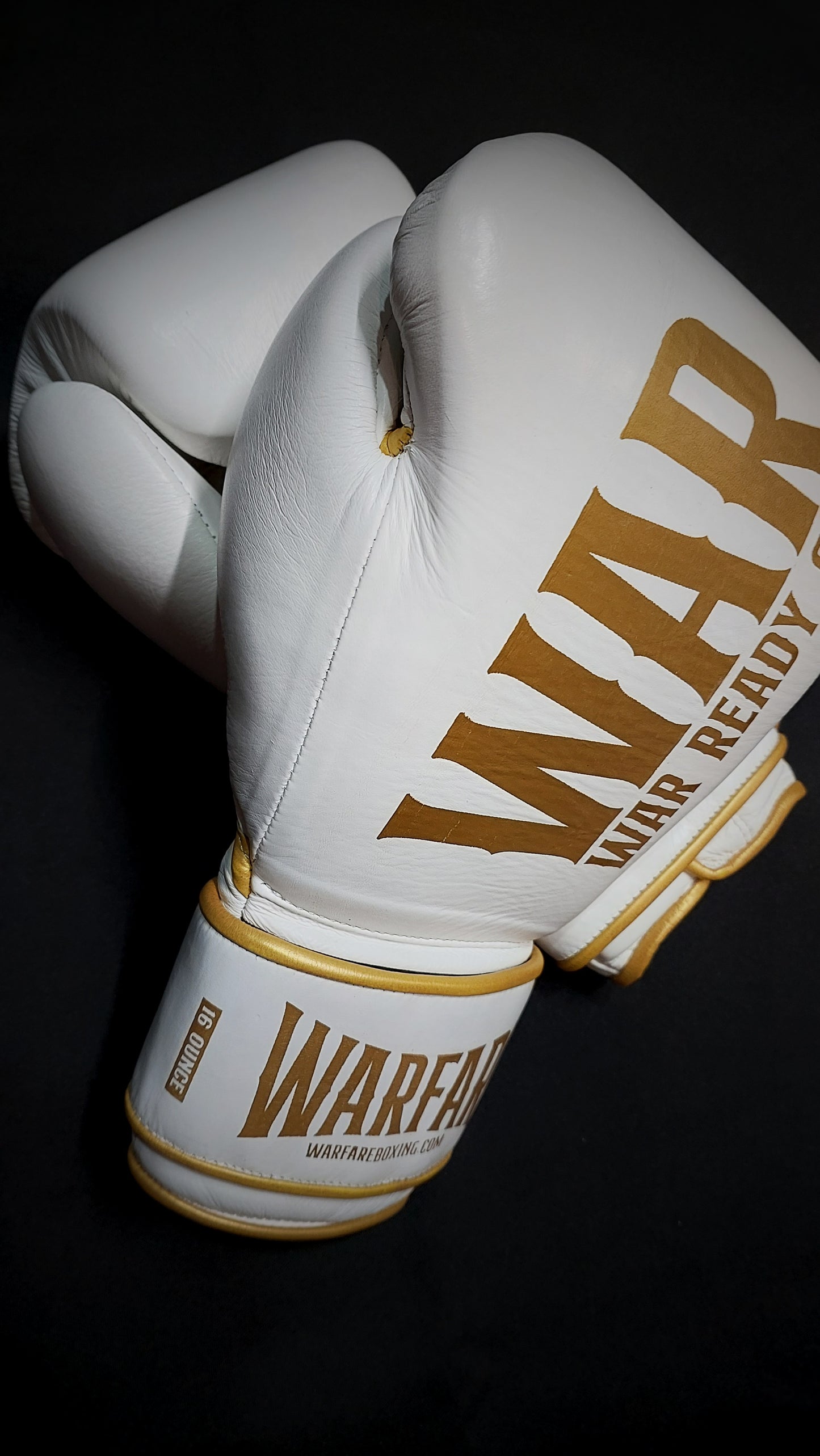 Warfare Boxing Glove