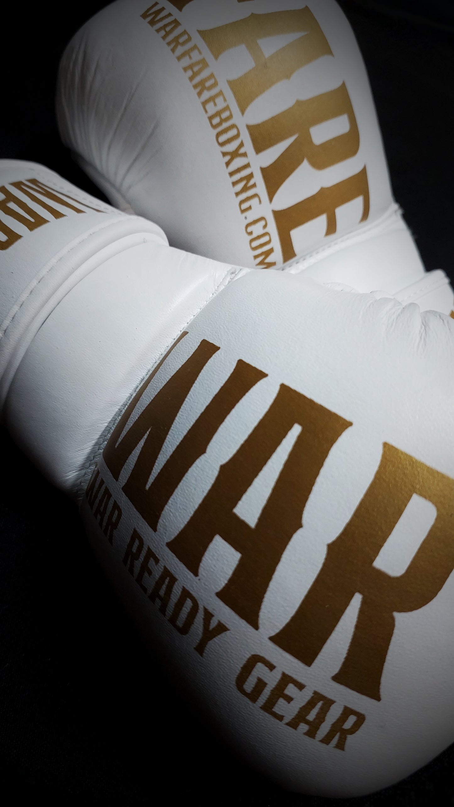 Warfare MMA Sparring Glove
