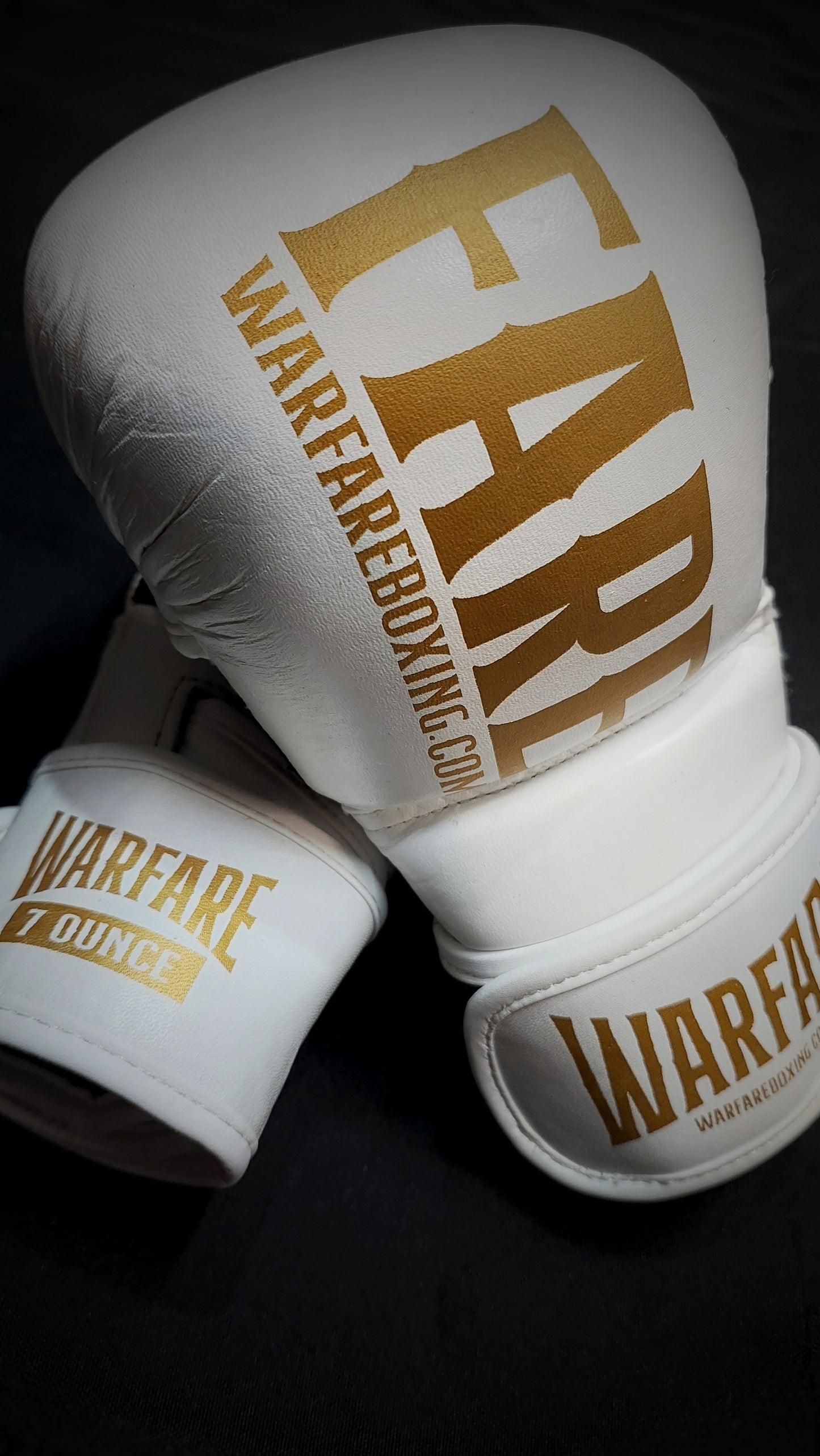 Warfare MMA Sparring Glove