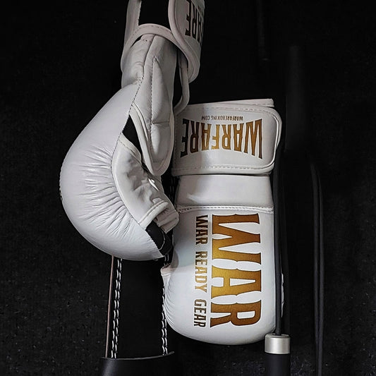Warfare MMA Sparring Glove