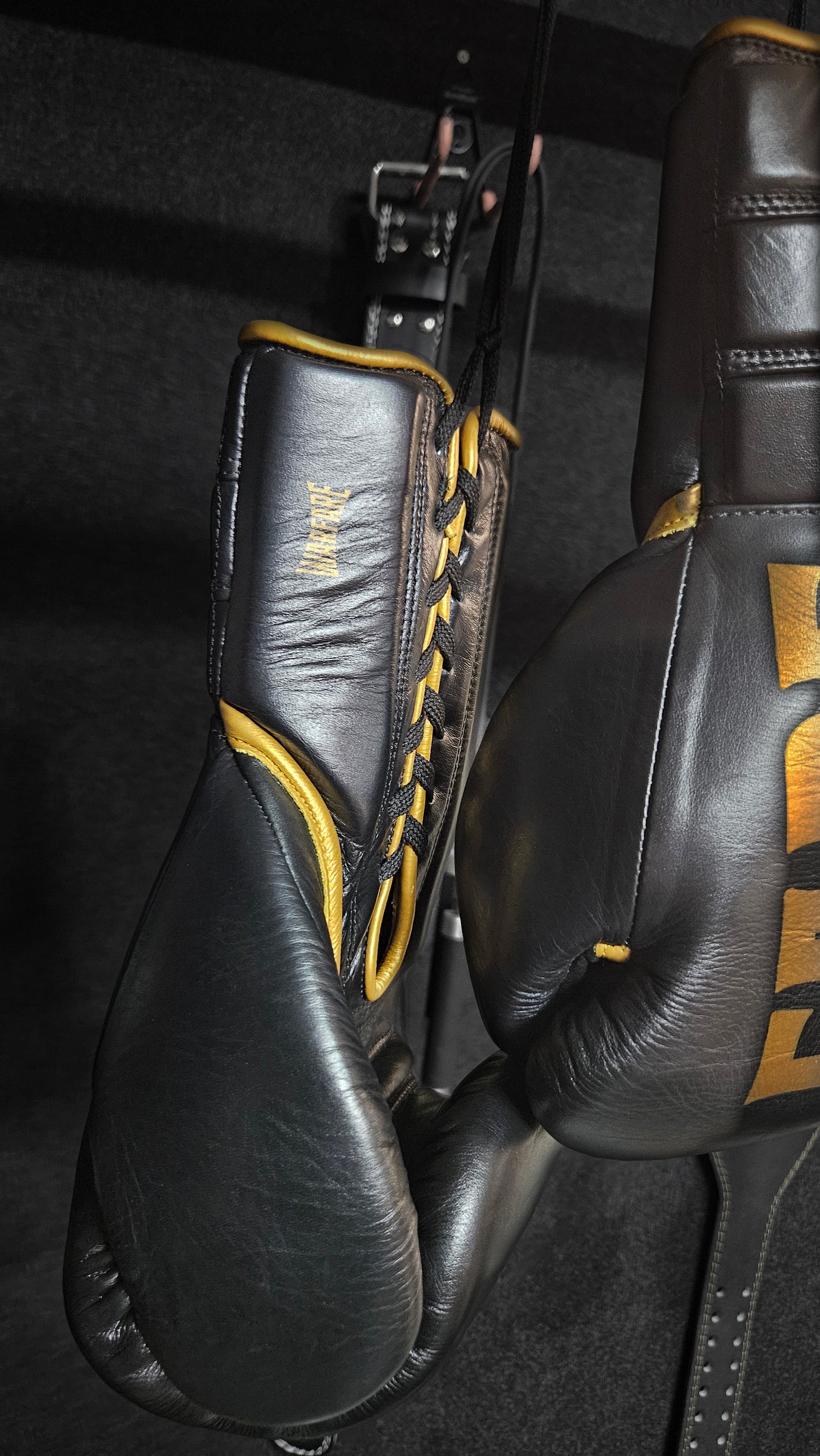 Lace Up Warfare Boxing Glove