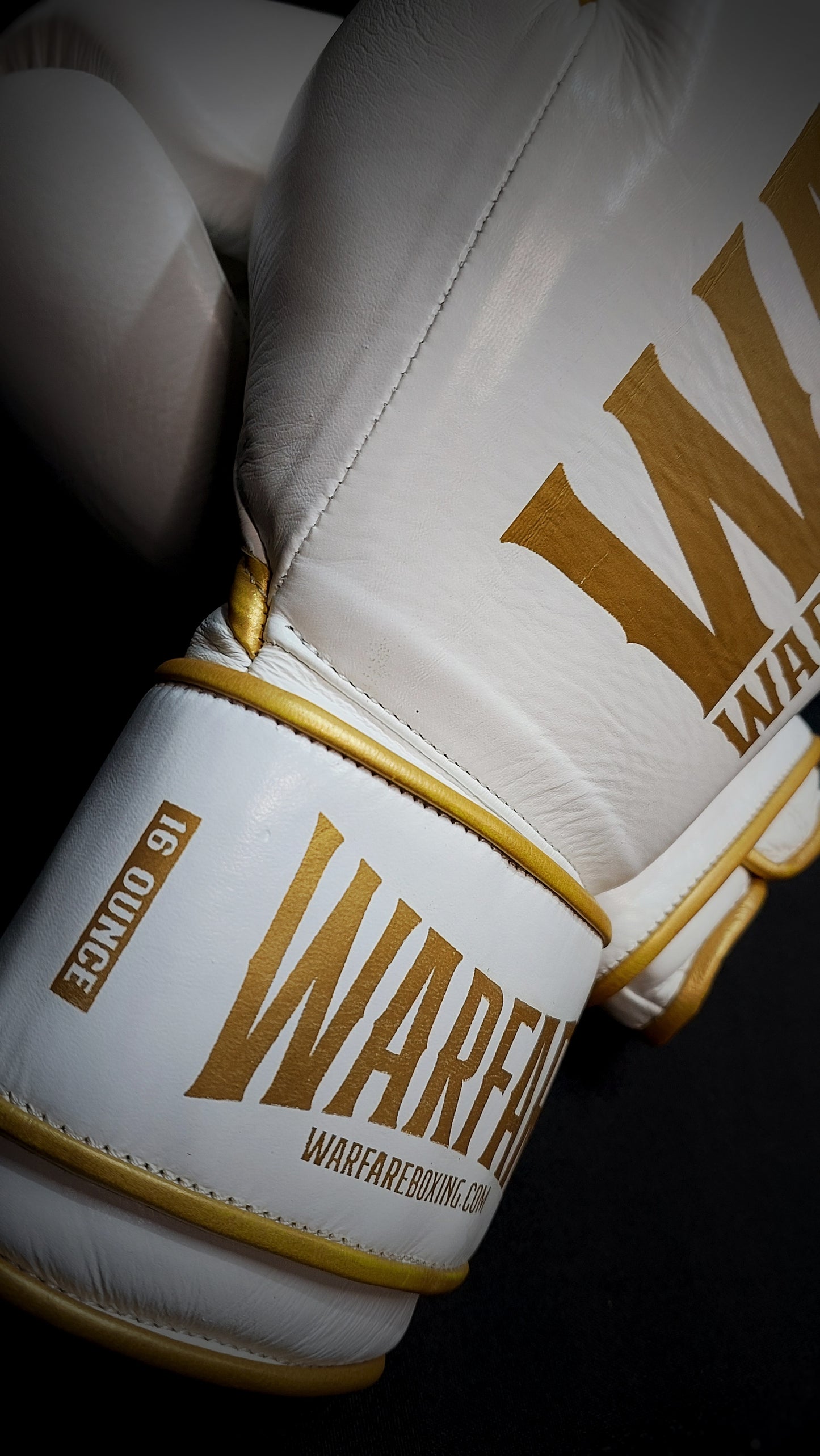 Warfare Boxing Glove