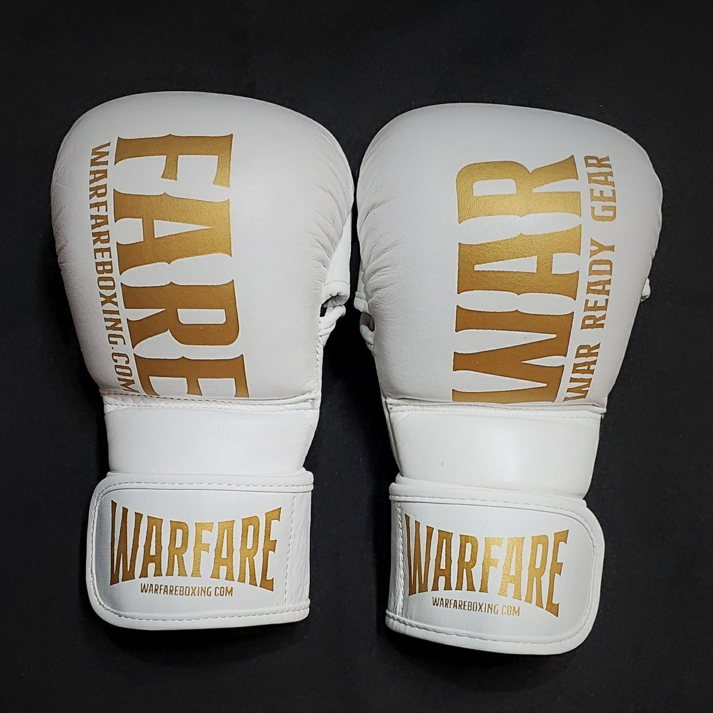 Warfare MMA Sparring Glove