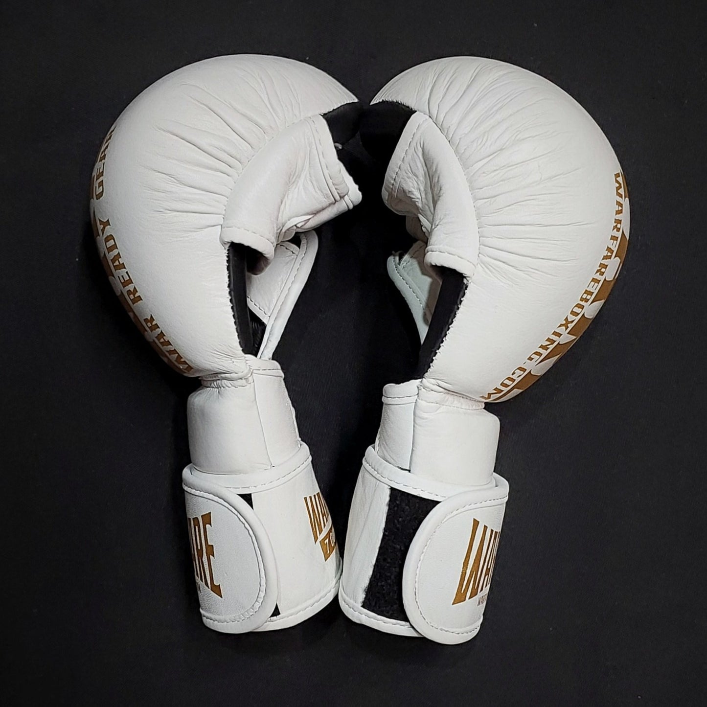 Warfare MMA Sparring Glove