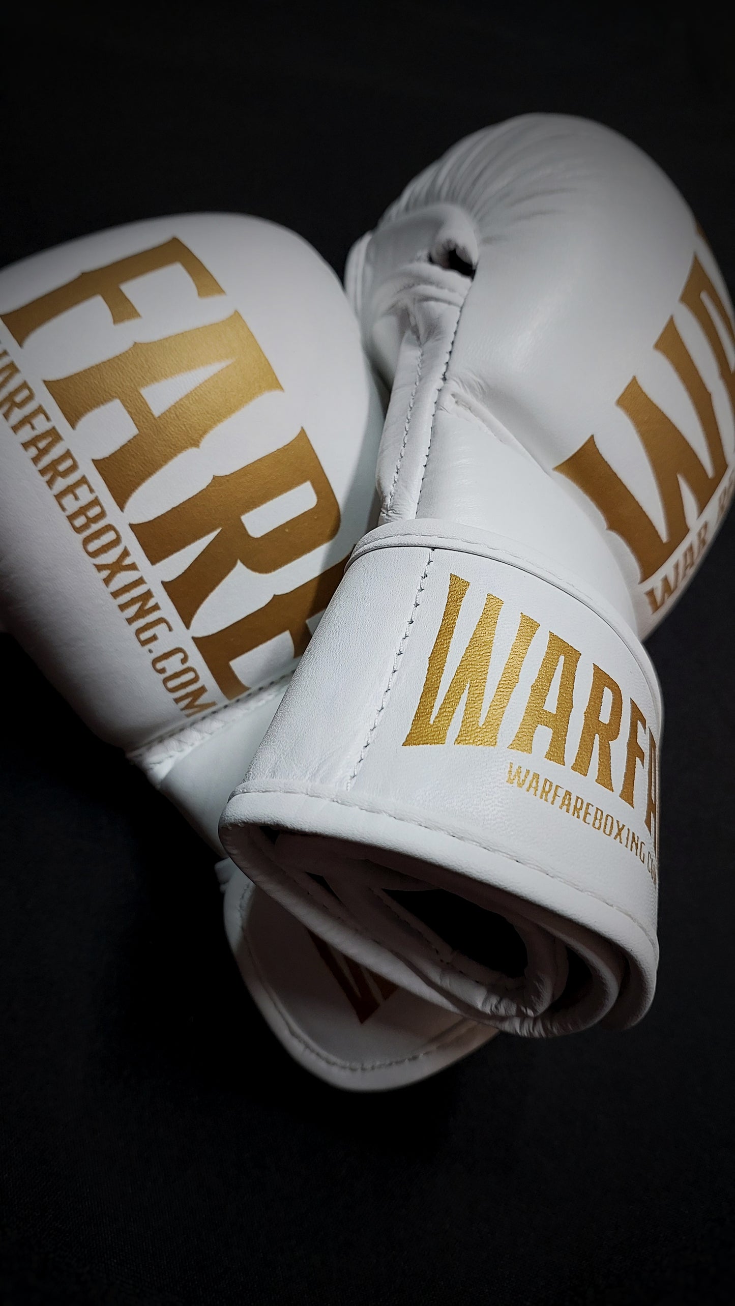 Warfare MMA Sparring Glove